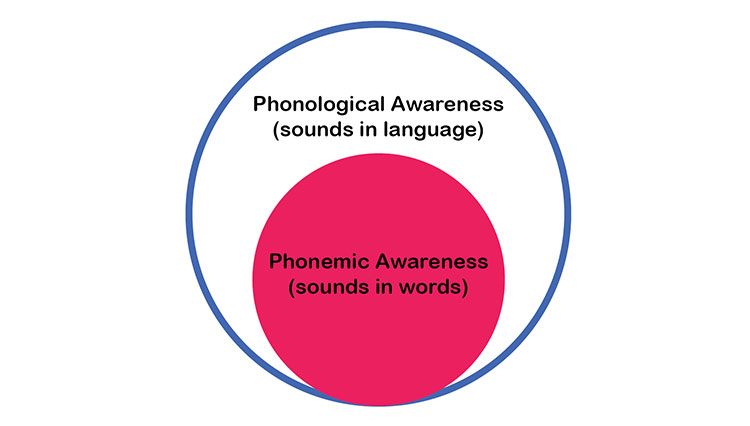 phonological phonemic